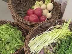 -巢湖名吃·东关老鹅汤(江南风情街店)