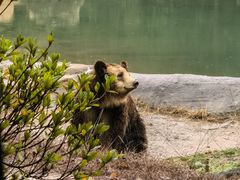 -杭州野生动物世界