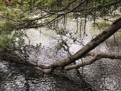 -西禅古寺售票处