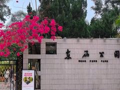 -东风公园