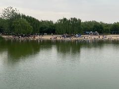 -大兴滨河森林公园