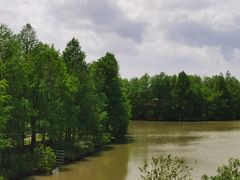 -上海海湾国家森林公园