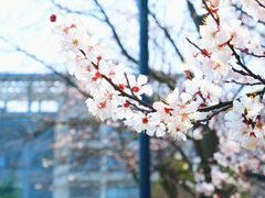 -江南大学(蠡湖校区)