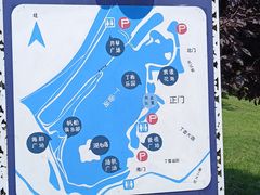 -丁香湖公园