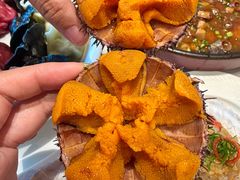 -鲜得莱渔港·小平岛海胆馆(七贤岭店)