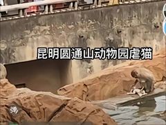 -昆明动物园
