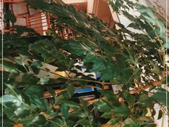 -Laures·月桂西班牙碳烤餐厅(十尚坊店)