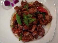 -白云中餐厅·粤菜·亚龙湾喜来登度假酒店