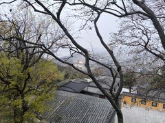 -徐州龟山景区