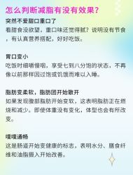 -Fundi张玉珊修身堂·indiba·BTL科技瘦身