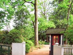 -三鹰之森吉卜力美术馆