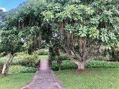 -中国科学院西双版纳热带植物园