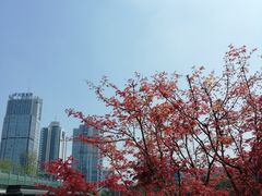 -百林公园-两江幸福广场