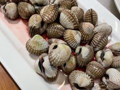 血蛤-华盛丰温州大排档(东三环南路店)