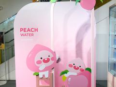 -KAKAO FRIENDS(弘大店)