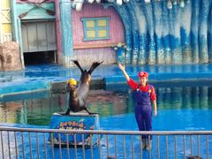 -华夏文旅海洋公园