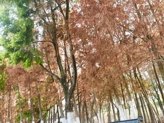 -厦门园林博览苑