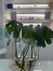 -斐尔国际皮肤管理中心