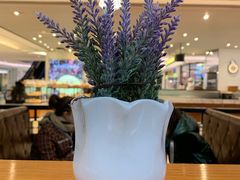 -台北楚楚园馅饼粥(虹桥南丰城店)