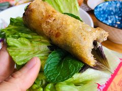 炸春卷-越美小馆·越南料理(曲江店)