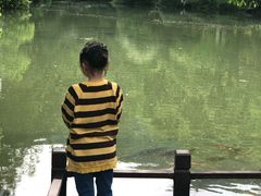 -杭州花家山庄