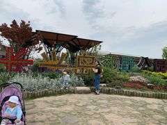 -上海长兴岛郊野公园