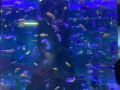 -长春中泰海洋世界