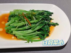 -采蝶轩
