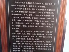 -绮园景区