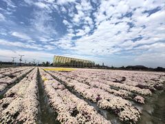 -中国天府农业博览园