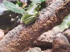 -正佳雨林生态植物园