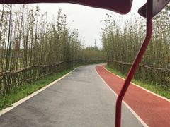 -上海长兴岛郊野公园