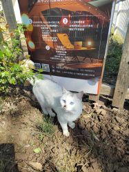 -前小桔亲子创意农场·草莓采摘·露营烧烤