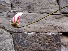 -东华门大街小区