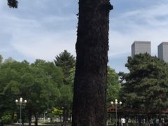 -东北大学(南湖校区)