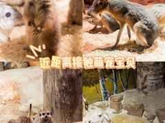 -正佳极地海洋世界