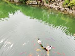 -白马涧龙池景区