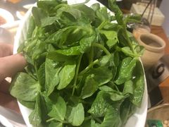 -阿鹏故事野生菌火锅(双廊古镇店)
