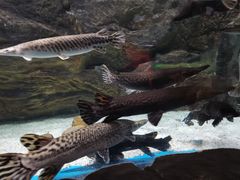 -多彩贵州城极地海洋世界