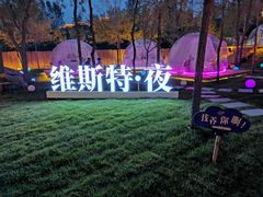 -维斯特·夜烤牛肋条任吃