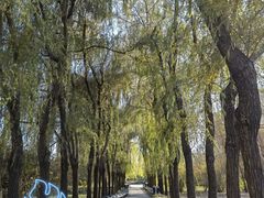 -长春公园(普阳街道)