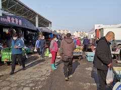 -重振华中蔬菜批发市场(重庆中路店)