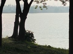 -贡湖湾湿地公园