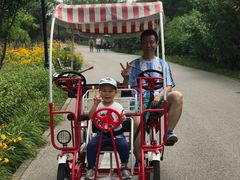 -永定河休闲森林公园