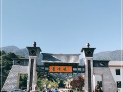 -青峰峡国家森林公园