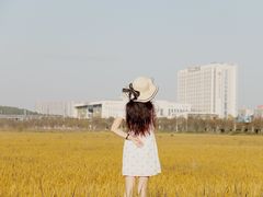 -光明小镇欢乐田园