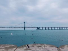-星海湾跨海大桥