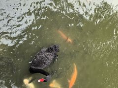 -珠海圆明新园