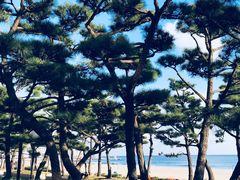 -海云台海滩
