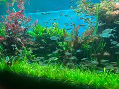 -太平洋海底世界